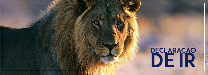 7 erros mais comuns na hora de fazer sua Declaração de Imposto de Renda