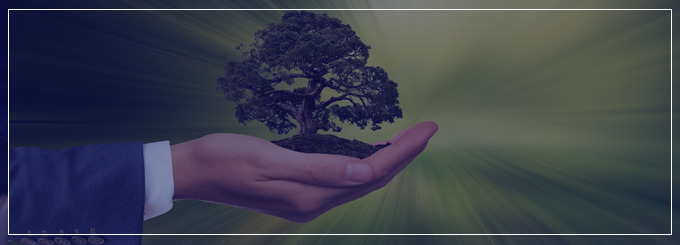 4 benefícios para Gestão de Terceiros quando o fornecedor possui um selo de sustentabilidade