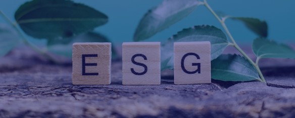 Fortaleça a sustentabilidade na cadeia de fornecedores