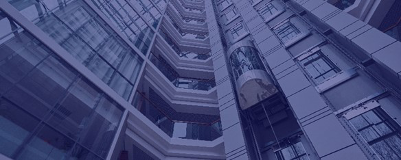 Guia completo sobre holding: tudo o que você precisa saber