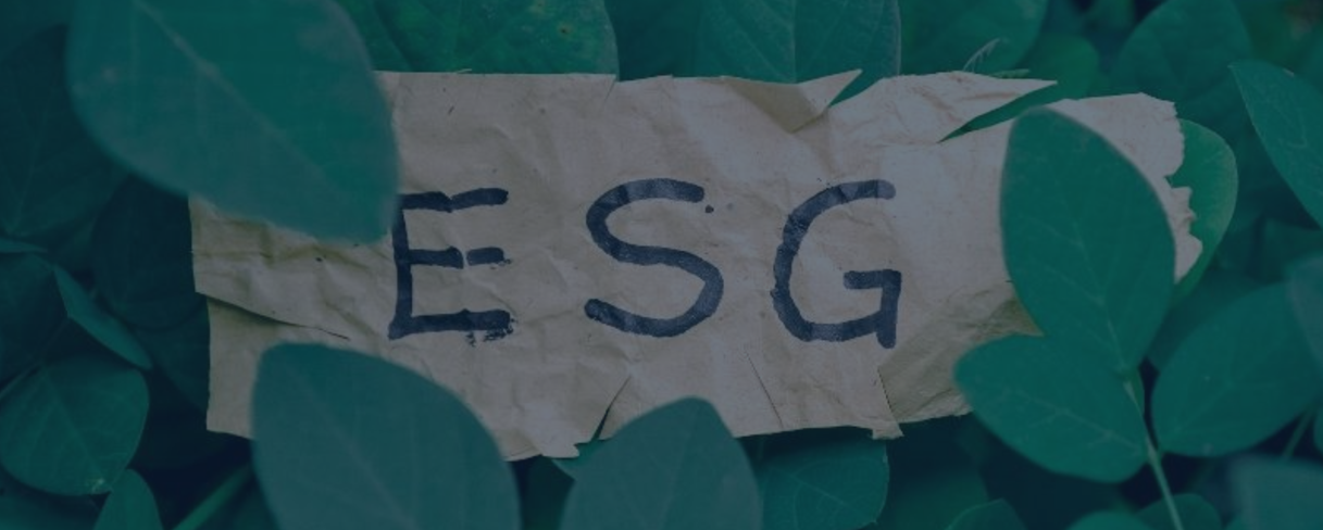 Auditoria de Campo nas boas práticas de ESG