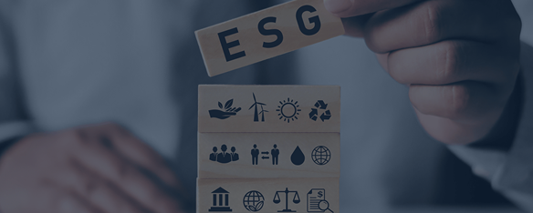 Responsabilidade socioambiental na cadeia de fornecedores