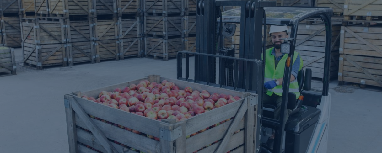 Implementação da NR 33 em indústrias alimentícias: desafios e estratégias para a segurança em espaços confinados